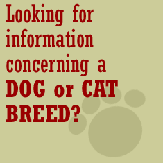 Breed Info