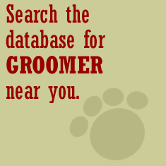 Search for Groomers