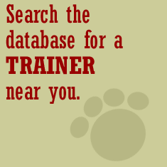 Search for Trainers