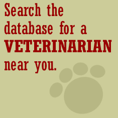 Search for Veterinarian